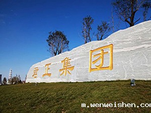 内蒙古君正化工有限责任公司