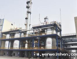 山东信发化工有限公司(图1)